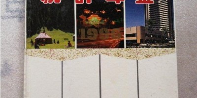 2021年仪征年鉴下载PDF