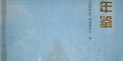 2021年新沂年鉴下载PDF