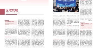 2017年双辽年鉴下载PDF