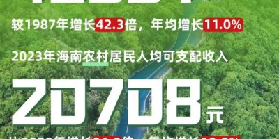 2020年潞西年鉴下载PDF