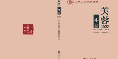 2023年武安年鉴下载PDF