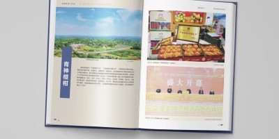 2012年鉴汇总