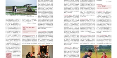 中国设计年鉴含金量