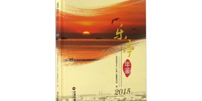 2013年讷河年鉴下载PDF