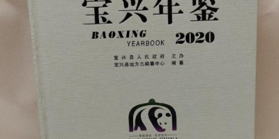 2022年石嘴山年鉴下载PDF