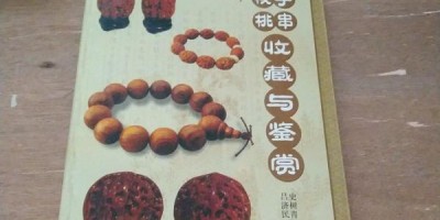 2024年华蓥年鉴下载PDF