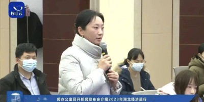 2013年当阳年鉴下载PDF