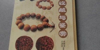 中医药年鉴2024封面