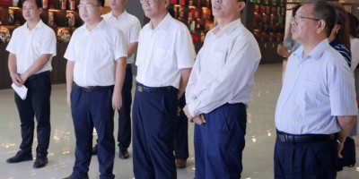 南阳统计年鉴2015