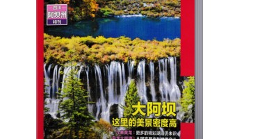 广东农村统计年鉴2020