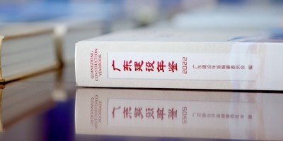 2019年都江堰年鉴下载PDF