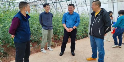 国家统计局联网直报门户