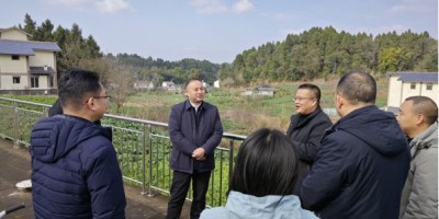山东电力年鉴2022