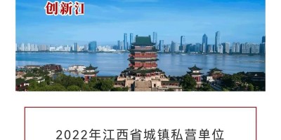 2015年南京年鉴下载PDF