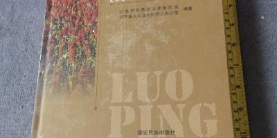 中国商务年鉴2022