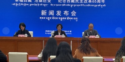 2015年枝城年鉴下载PDF