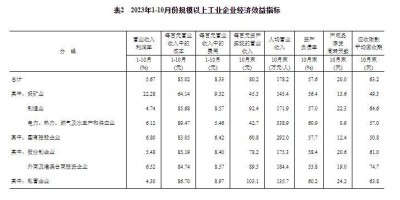 2021年临湘年鉴下载PDF