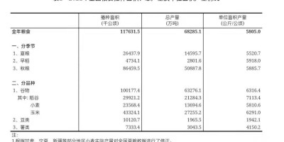 APD亚太设计年鉴