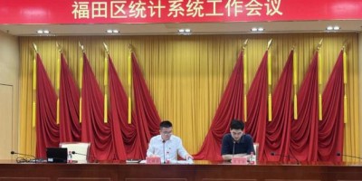 2021年六安年鉴下载PDF