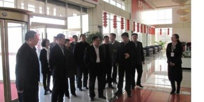 2019年洛阳年鉴下载PDF