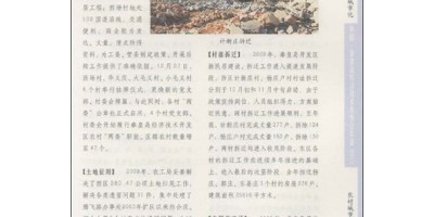 2012年枝城年鉴下载PDF