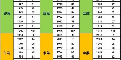 2024年兴宁年鉴下载PDF