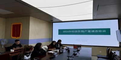 2022年金坛年鉴下载PDF