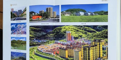 2016年枝城年鉴下载PDF