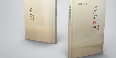 中国会计年鉴