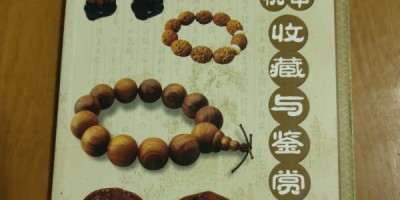 海口台风年鉴最新消息