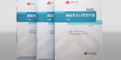 2022年临湘年鉴下载PDF