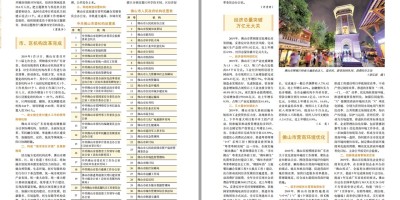 2020年瑞昌年鉴下载PDF
