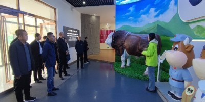 与年鉴共成长的诗句