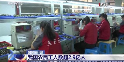 2019年漳州年鉴下载PDF