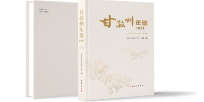 2012年普宁年鉴下载PDF