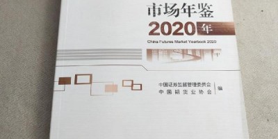 2020年凌海年鉴下载PDF