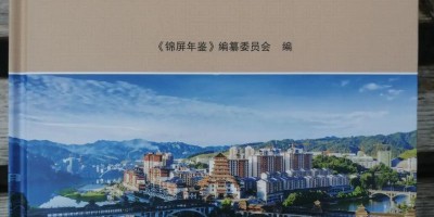 2021年罗定年鉴下载PDF