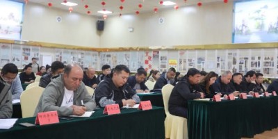 中国教育统计年鉴2017