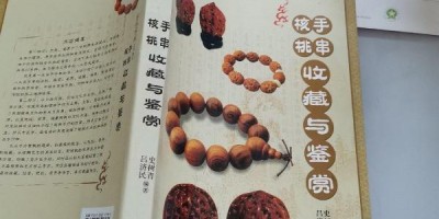 2024年绍兴年鉴下载PDF