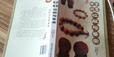 2013年乳山年鉴下载PDF