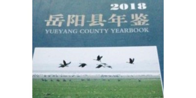 2021年安阳年鉴下载PDF