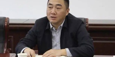 2018年合山年鉴下载PDF