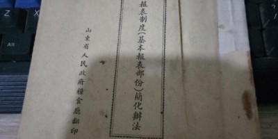 2020年宣州年鉴下载PDF