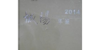2013年宿州年鉴下载PDF