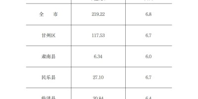 2019年宁夏年鉴下载PDF
