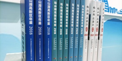 2020年河津年鉴下载PDF