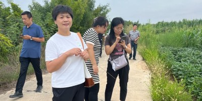 中卫统计年鉴2019