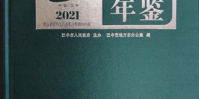 2018年巢湖年鉴下载PDF