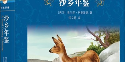 2021年合肥年鉴下载PDF