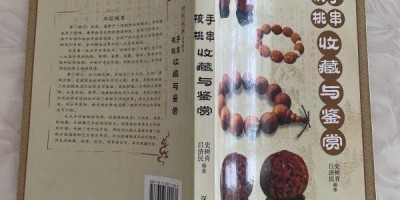 2021年灯塔年鉴下载PDF
